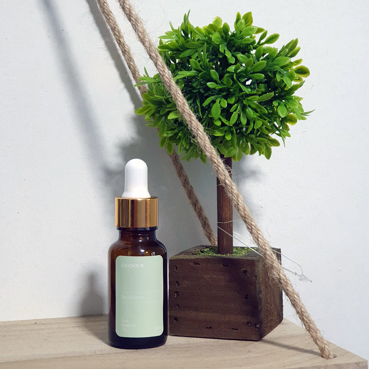 CANDOUR. Cedarwood Pure Essential Oil - Wistech Singapore