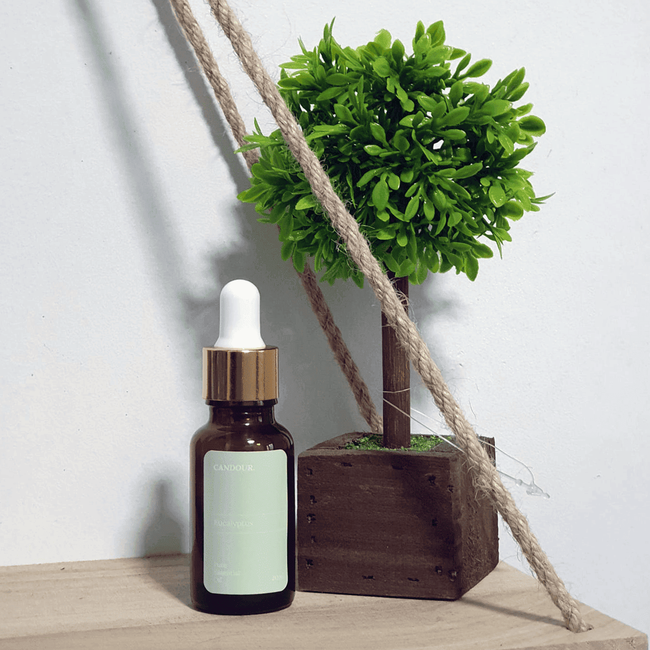 Candour Eucalyptus