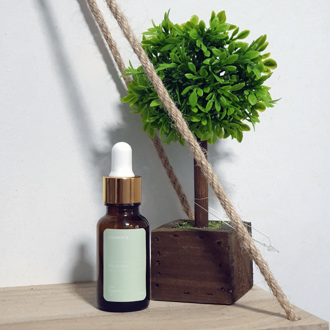 CANDOUR Eucalyptus