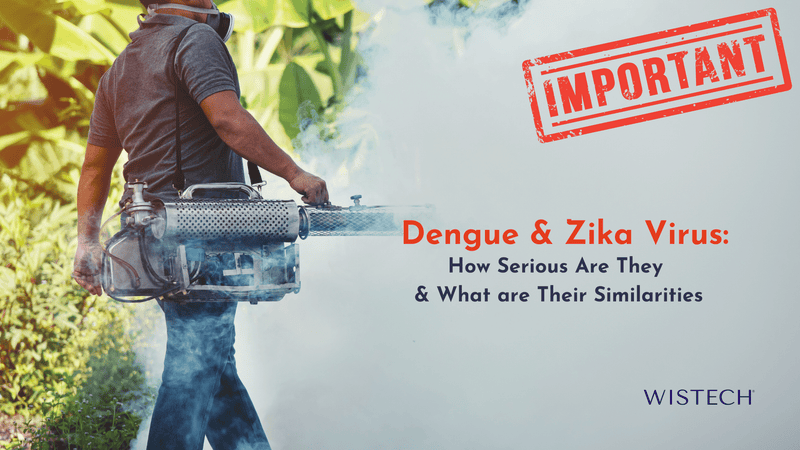 Zika and Dengue Virus: How Serious Are They and What Are Their Similarities?
