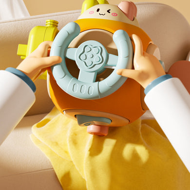 Montessori Early Education Multifunctional Grasping Toy