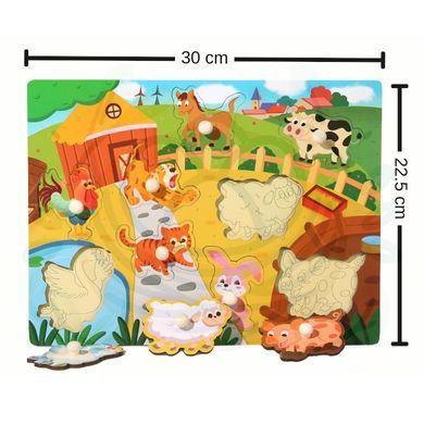 Premium Gift Montessori Wooden Toys