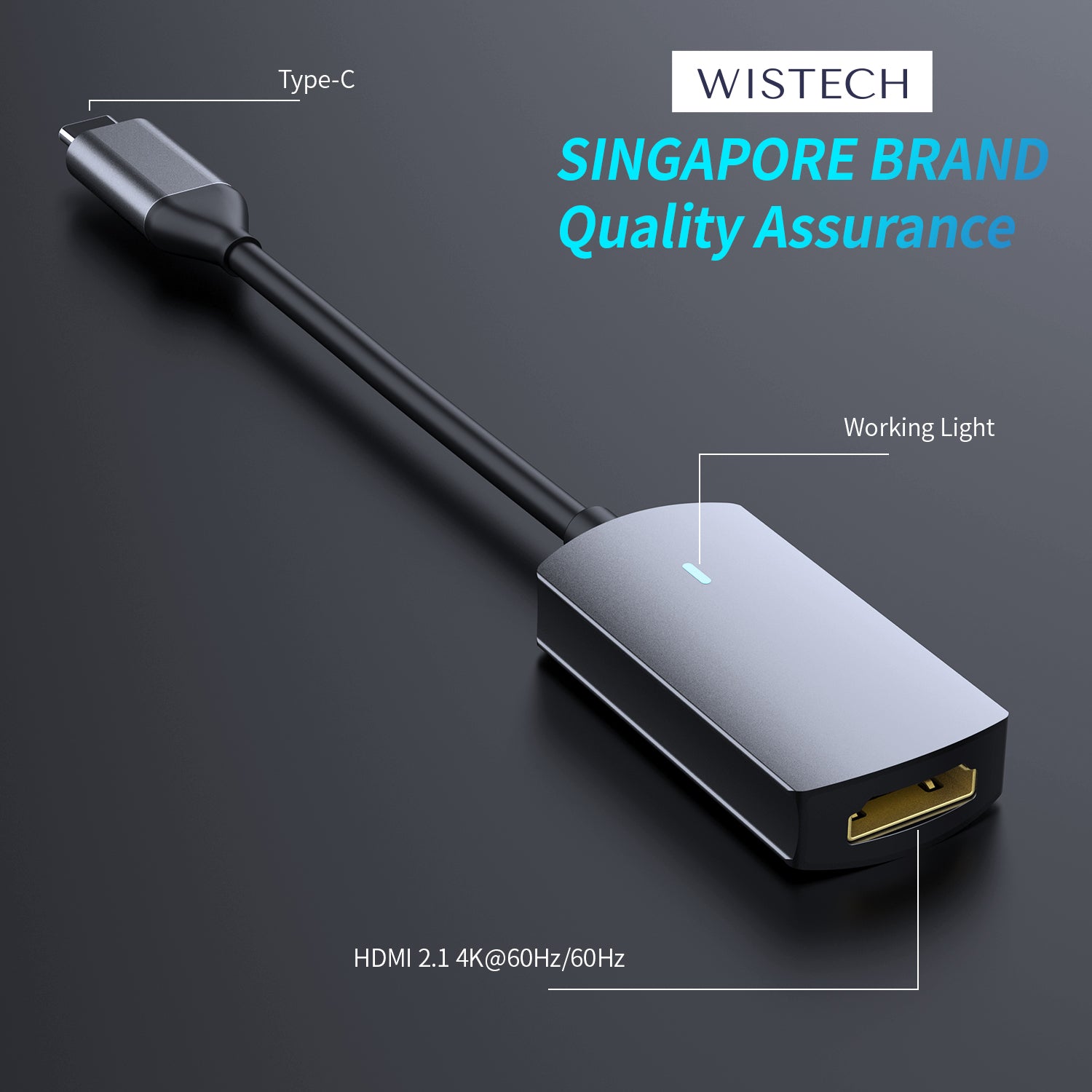 Wistech USB C Type-C Apadter Hub BX1H to HDMI 2.1 4K 60Hz 3840x2160 Support Laptop Cellphone Type-C Adapter USB C Hub - Wistech Singapore