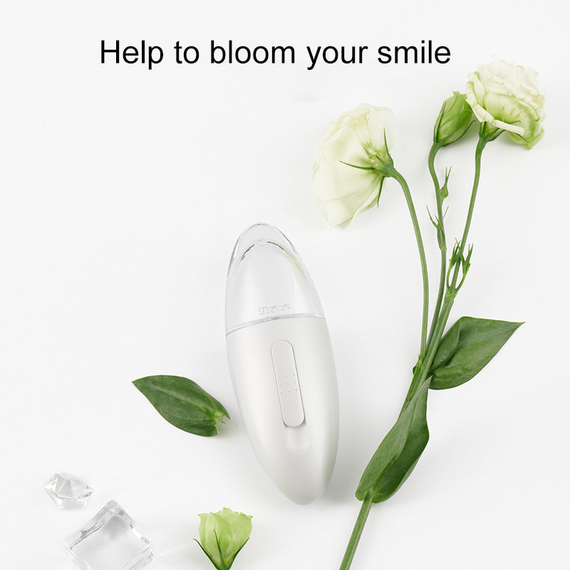 Xiaomi Lady Bei Sonic Moisturizing Machine - Violet & Rose Gold - Wistech Singapore
