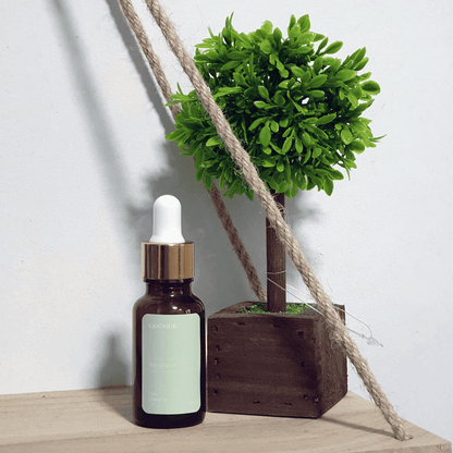    Candour Eucalyptus